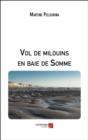 Image for Vol de milouins en baie de Somme
