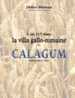 Image for L&#39;an 117 dans la villa gallo-romaine de Calagum