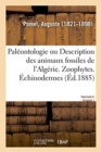 Image for Pal?ontologie Ou Description Des Animaux Fossiles de l&#39;Alg?rie, Avec Planches Lithographi?es