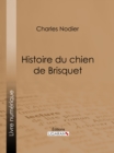 Image for Histoire Du Chien De Brisquet