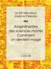 Image for Amphitheatre Des Sciences Mortes. Comment On Devient Mage: Essai Sur Les Sciences Occultes