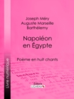 Image for Napoleon en Egypte: Poeme en huit chants