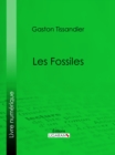 Image for Les Fossiles