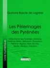 Image for Les Pelerinages des Pyrenees: Notre-Dame des Pyrenees, Sarrance, Pietat en Bearn, Betharam, Poeylahun, Pietat en Bigorre, Heas, Bourisp, Nestes, Medous, Garaison