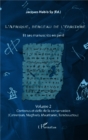 Image for L&#39;Afrique, berceau de l&#39;ecriture volume 2: Et ses manuscrits en peril - Contenus et defis de la conservation (Cameroun, Maghreb, Mauritanie, Tombouctou)