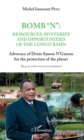 Image for Bomb &amp;quote;N&amp;quote;: ressources, mysteries and opportunities of the Congo Basin: Advocacy of Denis Sassou N&#39;Guesso for the protection of the planet - The green vision reviewed and deepened