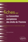 Image for Fiches Sur La Convention Europeenne Des Droits De l&#39;Homme