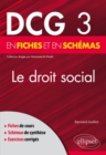 Image for DCG 3 - Le Droit social en fiches et en schemas