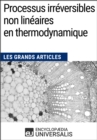 Image for Processus irreversibles non lineaires en thermodynamique: Les Grands Articles d&#39;Universalis
