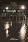 Image for Triangle Mystery