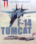 Image for F14 Tomcat