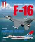 Image for F-16Volume 1,: fighting falcon A + B