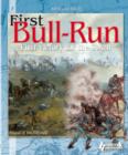 Image for First bull run  : 1st victory for the South