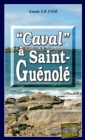 Image for Caval a Saint-Guenole: Une enquete au Cap Caval