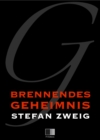 Image for Brennendes Geheimnis