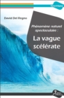 Image for Phenomene naturel spectaculaire : la vague scelerate