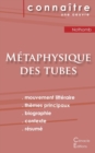 Image for Fiche de lecture Metaphysique des tubes de Amelie Nothomb (Analyse litteraire de reference et resume complet)