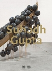 Image for Subodh Gupta - adda/rendez-vous