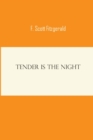 Image for Tender Is the Night F Scott Fitzgerald