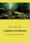 Image for L&#39;oppidum De Bibracte : Une cite gauloise sur le Mont Beuvray