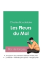 Image for Reussir son Bac de francais 2023 : Analyse des Fleurs du Mal de Baudelaire