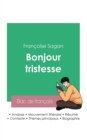 Image for Reussir son Bac de francais 2023 : Analyse de Bonjour tristesse de Francoise Sagan