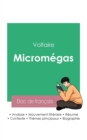 Image for Reussir son Bac de francais 2023 : Analyse de Micromegas de Voltaire