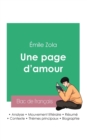 Image for Reussir son Bac de francais 2023 : Analyse du roman Une page d&#39;amour d&#39;Emile Zola