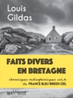 Image for Faits divers en Bretagne - Volume 4: Chroniques radiophoniques de France Bleu Breizh Izel