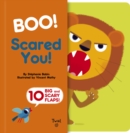 Image for Boo! Scared you!
