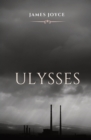 Image for Ulysses : A book chronicling the passage through Dublin by a man, during an ordinary day, June 16, 1904. The title alludes to the hero of Homer&#39;s Odyssey (Latinised into Ulysses), and there are many p