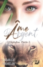 Image for Ame d&#39;argent
