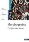Image for Morphogénèse [electronic resource] : l&#39;origine des formes / sous la direction de Paul Bourgine, Annick Lesne.