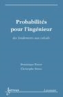 Image for Probabilites Pour L`ingenieur: Des Fondements Aux Calculs
