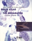 Image for Brain atlas of the medakafish