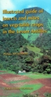 Image for Illustrated guide of insects and mites on vegetable crops in the Lesser Antilles [electronic resource]. 