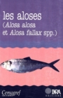 Image for Les aloses (Alosa alosa et Alosa fallax spp.)