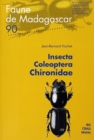 Image for Insecta coleoptera chironidae