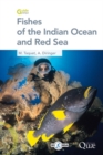 Image for Fishes of the Indian Ocean and Red Sea