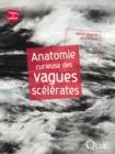 Image for Anatomie curieuse des vagues scélérates [electronic resource] / Michel Olagnon, Janette Kerr.