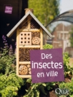 Image for Des Insectes En Ville