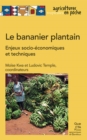 Image for Le Bananier Plantain