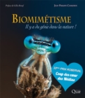 Image for Biomimétisme