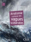Image for Anatomie Curieuse Des Vagues Scelerates
