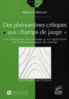 Image for Phenomenes critiques aux champs de jauge (Des) (Une introduction aux methodes et aux applications de la theorie quantique des champs )