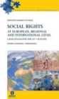 Image for Social Rights at European, Regional and International Level