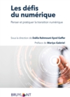 Image for Les Defis Du Numerique: Penser Et Pratiquer La Transition Numerique
