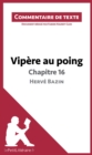 Image for Vipere au poing d&#39;Herve Bazin - Chapitre 16: Commentaire de texte