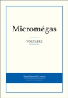 Image for Micromegas