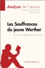 Image for Les Souffrances du jeune Werther de Goethe (Fiche de lecture): Resume complet et analyse detaillee de l&#39;oeuvre